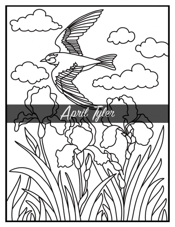 A Big Coloring Book For Adults