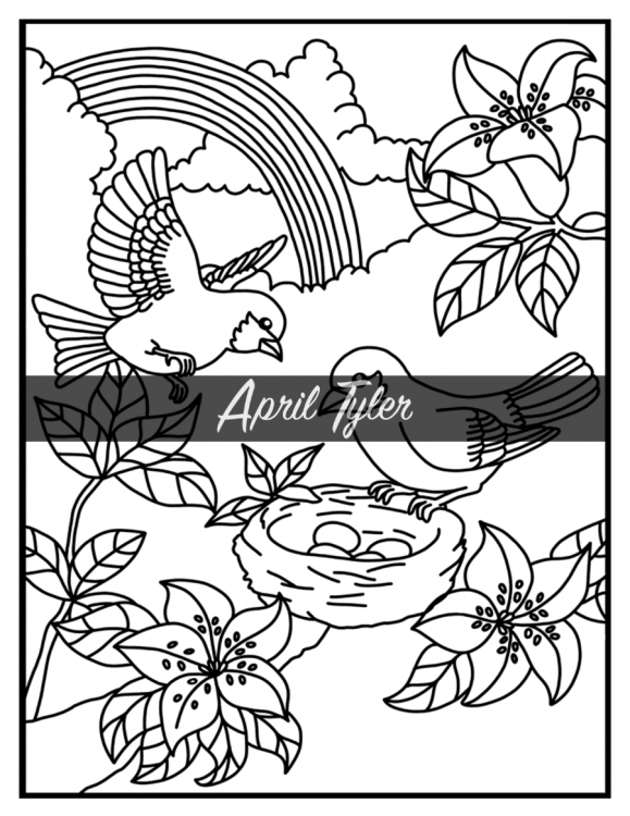 A Big Coloring Book For Adults